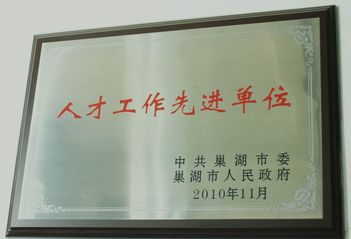 人才工作先进单位