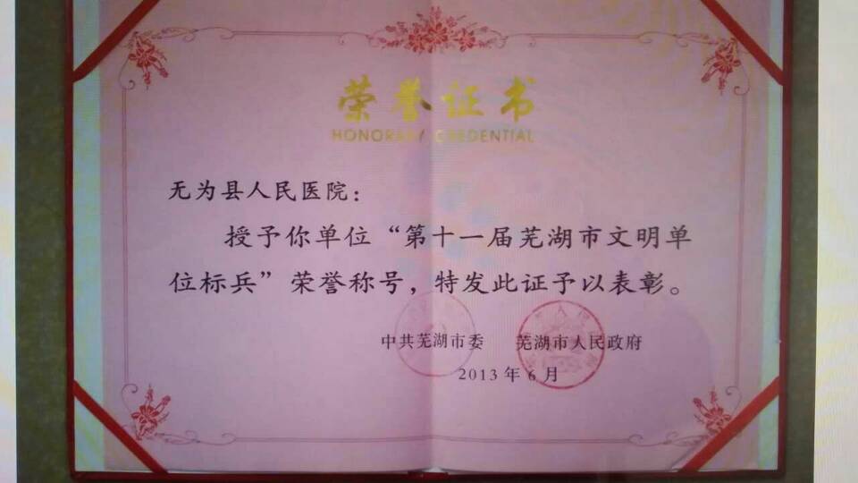 芜湖市第十一届文明单位标兵称号
