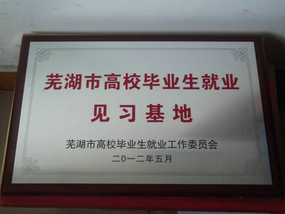 芜湖市高校毕业生见习基地